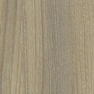 4539 Aleve Bordo Dritto