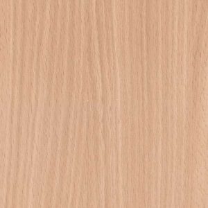 Faggio American 1666