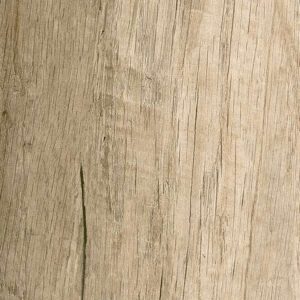 Rovere Primitivo 669