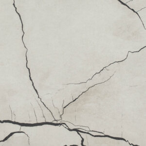 White Moon 1475